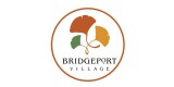Bridgeport Village