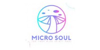 Micro Soul