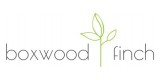 Boxwood Finch