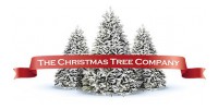 The Christmas Tree Company