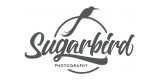 Sugarbird Photo