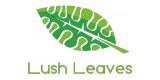 Lush Leaves