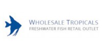 Wholesale Tropical Saquatics