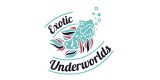 Exotic Underworld