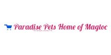 Paradise Pets Home Of Magloc