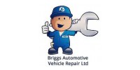 Briggs Automotive