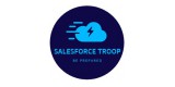 Salesforce Troop