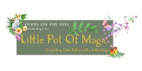 Little Pot Of Magic