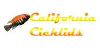 California Cichlids