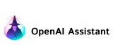 Open Ai Bot