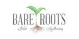 Bare Roots Salon