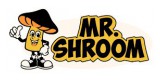 Mr.Shroom