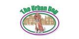 The Urban Dog