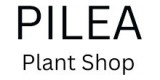 The Pilea Plant Shop