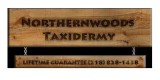 Northernwoods Taxidermy