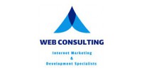 Web Consulting Agency