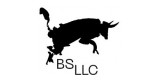 BS LLC