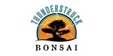 Thunderstruck Bonsai