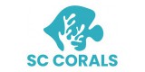 Shipwreck Cove Corals