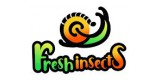 Fresh Insects