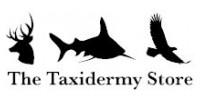 The Taxidermy Store