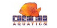 Carolina Aquatics