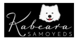 Kabeara Samoyeds