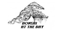 Bonsai At The Bay