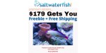 Saltwaterfish discount code