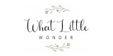 What Little Wonder