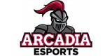 Arcadia knights Gear