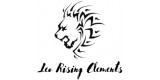 Leo Rising Elements