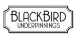 BlackBird underpinnings