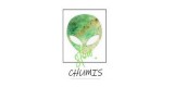 Chumis Store