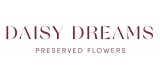 Daisy Dreams Preserved Flowers