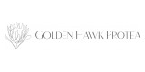 Golden Hawk Protea