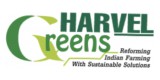 Harvel Greens