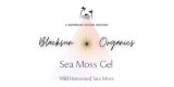 Blacksun Organics Sea Moss Gel