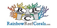Rainbow Reef Corals