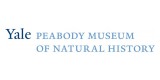 Yale Peabody Museum Of Natural History