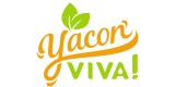 Yacon Viva