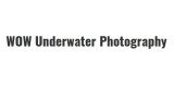 Wow Underwater Photography