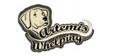 Artemis Whelping