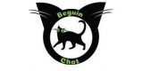 Beguin Chat