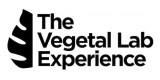 The Vegetal Lab Experience