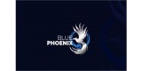 Blue Phoenix Heals
