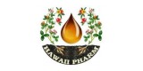 Hawaii Pharm LLC