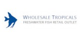 Wholesale Tropical Saquatics