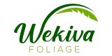 Wekiva Foliage