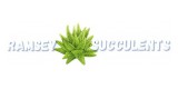 Ramsey Succulents